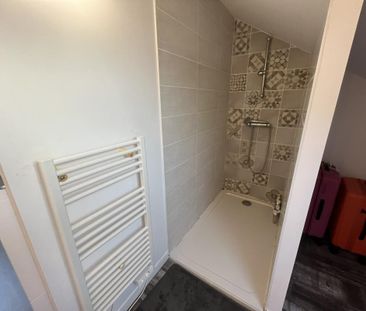 Location Appartement 2 pièces Meublé 38m² ANGERS 49000 - Photo 6