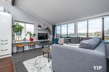 14D Phillip Street, Johnsonville - Photo 2