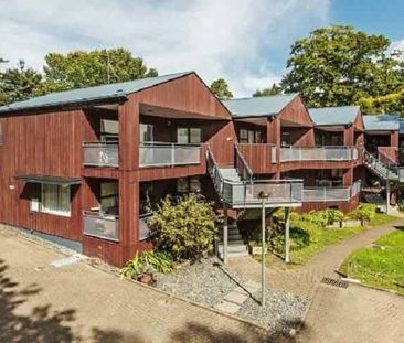 Modern Townhouse just minutes from Everything! - Photo 3