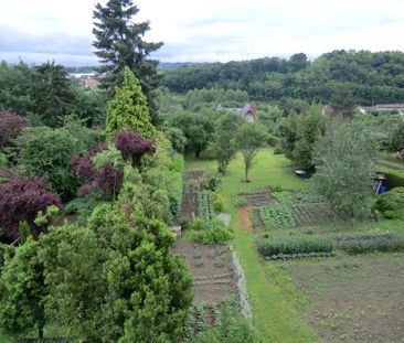 Location Appartement 2 pièces 35m² LIMOGES 87000 - Photo 5