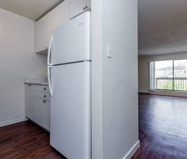 PENDERVILLE : One Bedroom Apartment 1,800$ for March 1st - Photo 2