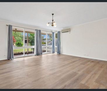 Affordable Coastal Living - Photo 6