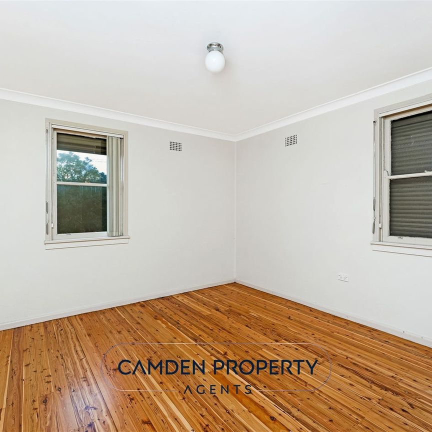 Park Frontage Location! - Photo 1