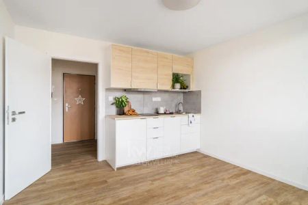 Slunné 2+kk po kompletní rekonstrukci s lodžií, 40,7 m - Photo 4