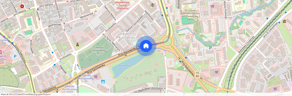 ul. Przy Kaszowniku, Stare Miasto, Toruń, kujawsko-pomorskie
