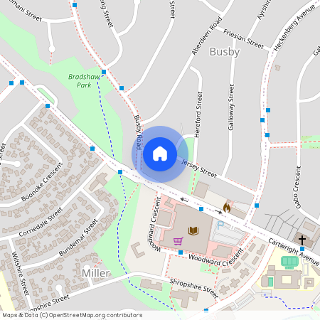 30 Jersey Street, NSW 2168, Busby