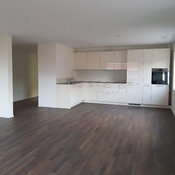 Grosszügige 2.5-Zimmer-Wohnung im beliebten Hauental! - Photo 1