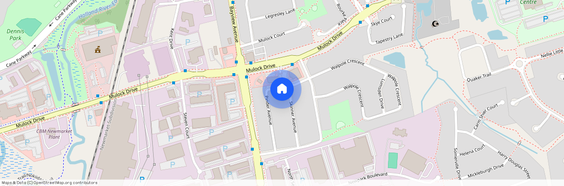 562 Skinner Avenue Unit# Lower, Newmarket