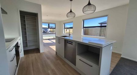 19 Larch Drive, Arbor Green, Rolleston - Photo 5