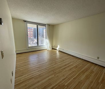 2 Bed Condo In Eau Claire. Utilities Included! - Photo 4