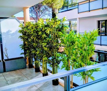 Location Appartement 3 pièces 69 m2 à Brignoles - Photo 4