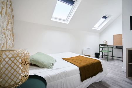 TURENNE Roommate 5 Bedrooms at Amiens - Photo 3