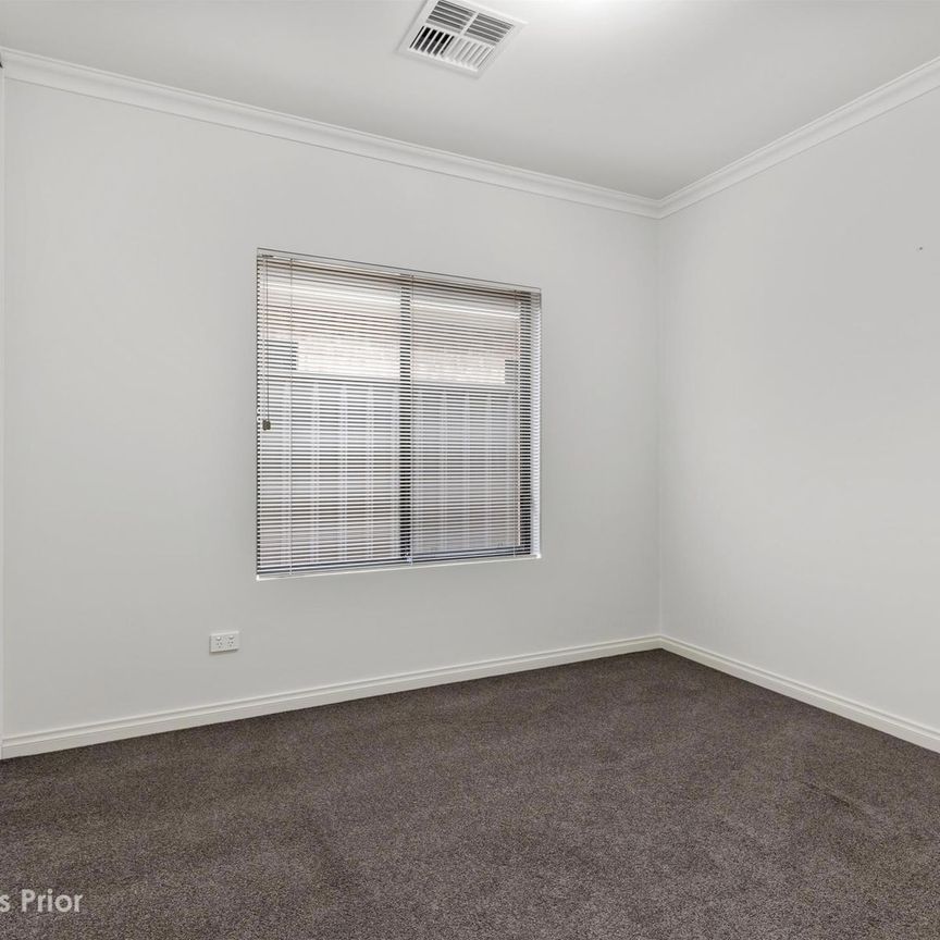 The Size Will Surprise - Photo 1