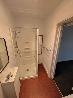 Home on the hill - charming 1bed flat in Linwood - Photo 1