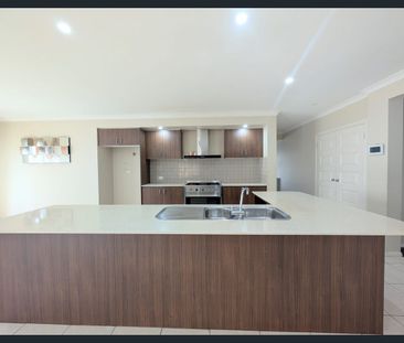 Fit For The Whole Family! - Photo 6