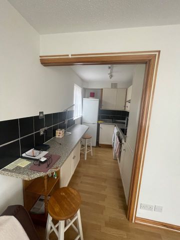 Studio Flat, Spencer Mews, W6 - Photo 2