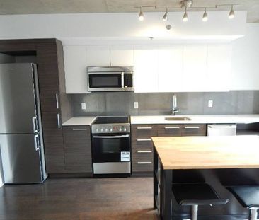 2118 Rue St Dominique Montréal (Ville-Marie), QC H2X - Photo 6