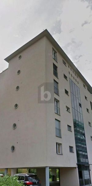 TRANQUILLO E SOLEGGIATO - Photo 1