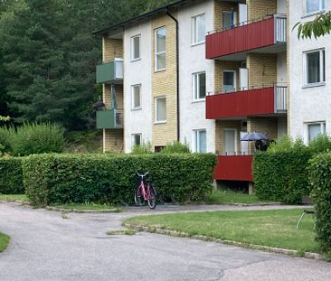 Pionvägen, Gusum - Foto 3