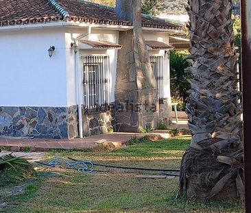 Alquiler de casa o chalet independiente en Carretera Coín-Cártama s/n - Photo 2