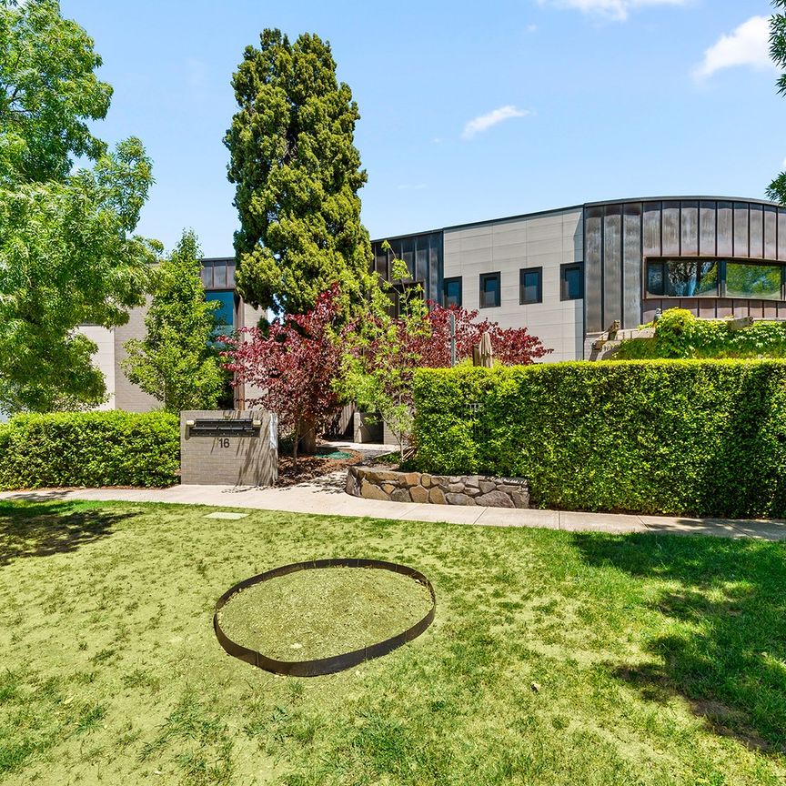 3/16 Holder Street, Turner ACT 2612 - Townhouse For Rent - $1,200 | Domain - Photo 1