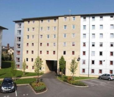 House to rent - Photo 6