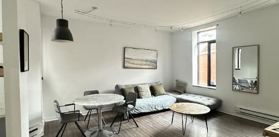 Grand 4 1/2 Plateau Mont-Royal - Photo 2