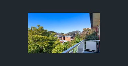 BRIGHT APARTMENT IN THE HEART OF HAWTHORN - Photo 5