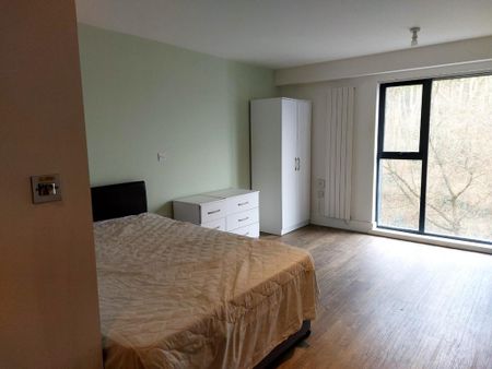 Studio to rent - Photo 3