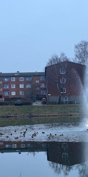 Sävgatan, Perstorp - Photo 1