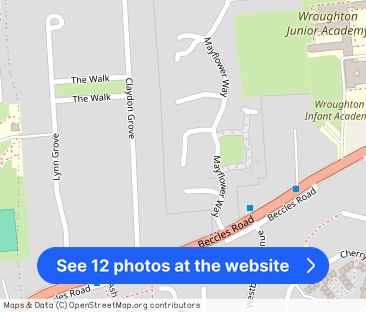 Sunflower Close, Gorleston - Photo 1