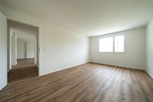 3.5 Zimmer, EG - Photo 1