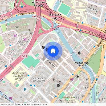 20 Saint Michael's Road, D12, 327979, Singapore