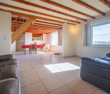 WORTEGEM-PETEGEM - Woning met historische charme op een prachtige l... - Photo 1