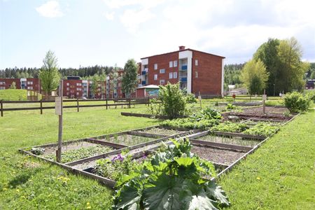 Midälvavägen 40 - Foto 2