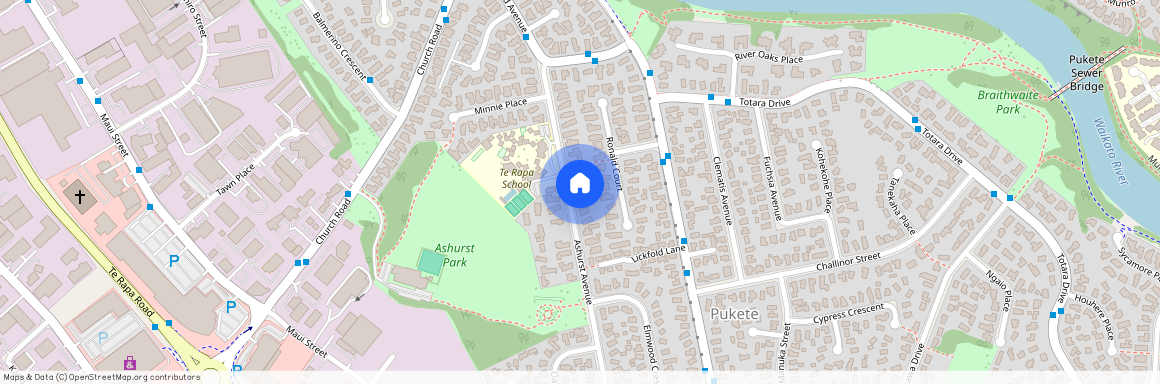 54 Ashurst Avenue, 3200, Pukete