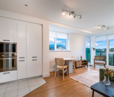 Weavers Hall, Levmoss Park, Leopardstown, Dublin 18, D18 Y5V0 - Photo 2