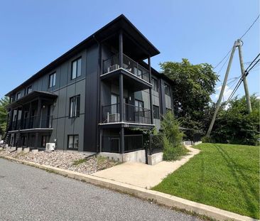 1 Chambre - Chiens Acceptés - Gatineau - Photo 2