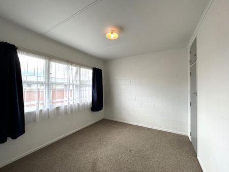Warm 2 Bedroom Flat close to Nelson City and Schools - Photo 3