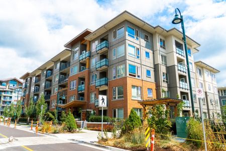 Hawthorne at Timber Court - Photo 4