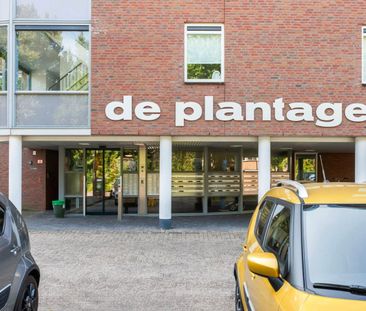 Appartement te huur: Plantageweg 19 3333 GZ Zwijndrecht - Photo 4