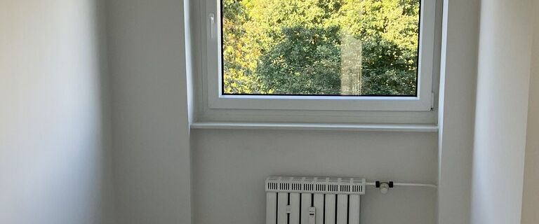 Komfort und Stil in Detmerode: Neu modernisierte 3-Zimmer-Wohnung - Foto 1