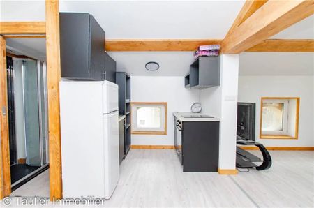 Location Appartement 1 pièce 28m² CHATTE 38160 - Photo 2
