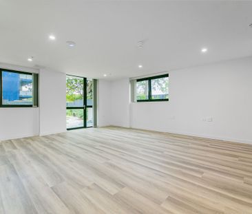 Selection of Brand New Studios a - Photo 6