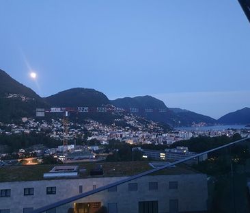 Cercasi subentrante per moderno appartamento di 2.5 locali al 3. piano - Photo 3