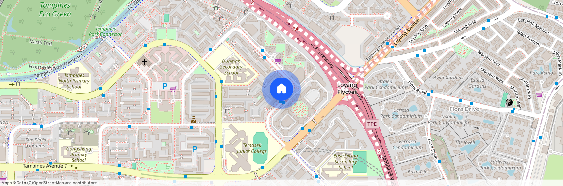 487B Tampines Street 45 (521487), Singapore
