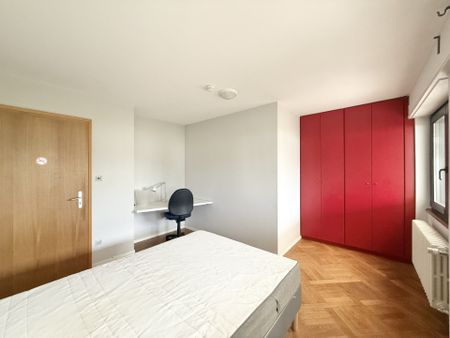 Location Appartement 1 pièce 15m² MITTELHAUSBERGEN 67206 - Photo 4