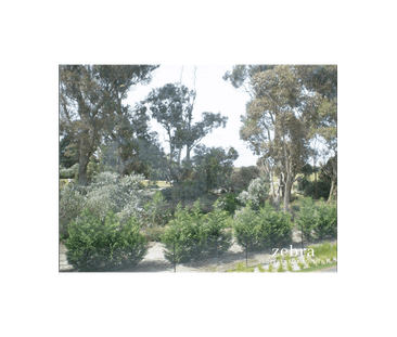 19 Baltusrol Circuit, Heatherton, Vic 3202 - Photo 2