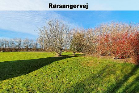 Rørsangervej,Teglvænget,Birkefredsvej 446-0 - Photo 5