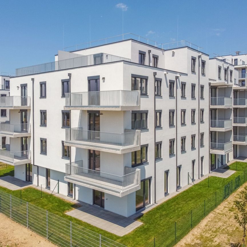 DER BALLON - Ankommen und abheben - NATURNAHES WOHNEN NAHE DER SEESTADT ASPERN - Photo 1